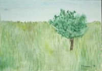 gal/Paintings/Aquarelles/_thb_Baum_in_Wiese.jpg