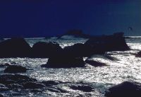 gal/Photographs/Landscape/_thb_Meer_Nacht.jpg