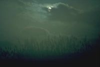gal/Photographs/Landscape/_thb_Mondnacht.jpg