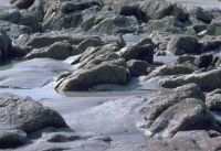 gal/Photographs/Landscape/_thb_Strand_3.jpg