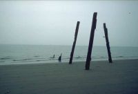 gal/Photographs/Landscape/_thb_Stranpfaehle.jpg