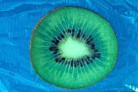 gal/Photographs/Macro/_thb_kiwi1.jpg