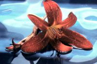 gal/Photographs/Macro/_thb_lilie2.jpg